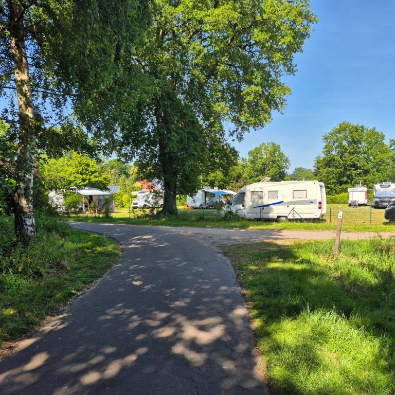 Nachtaufnahme mit Mond, Sternen und silhouettierten Bäumen gegen den blauen Himmel.