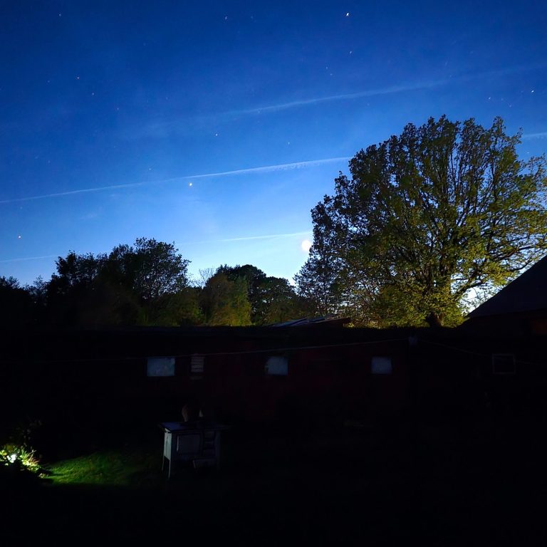 Dämmerung über einem Garten mit einem großen Baum und schwachem Licht.