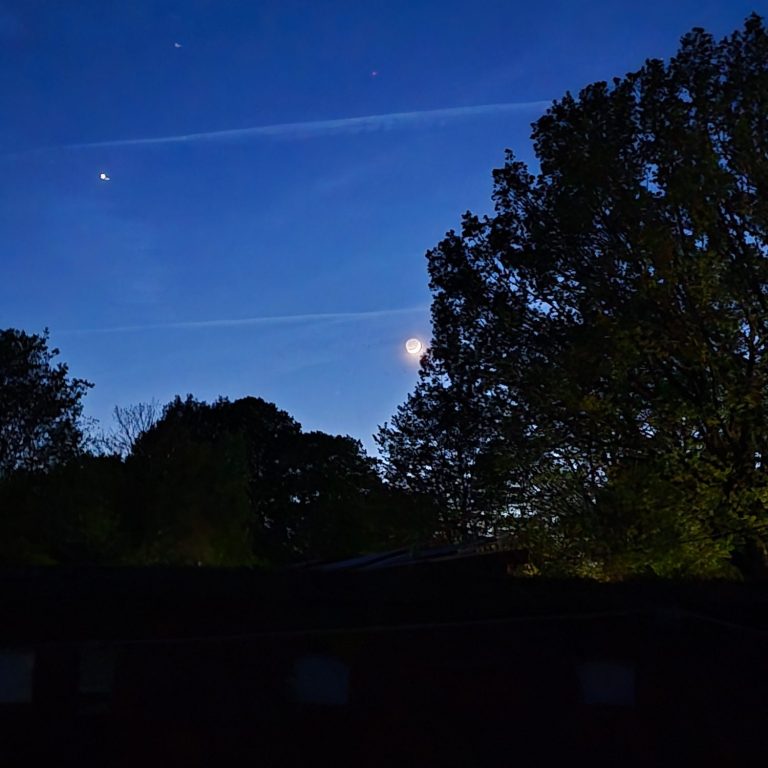 Nachtaufnahme mit Mond, Sternen und silhouettierten Bäumen gegen den blauen Himmel.
