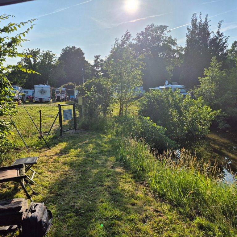 Dunkler Park mit beleuchteten Wegen und Bäumen in der Dämmerung.