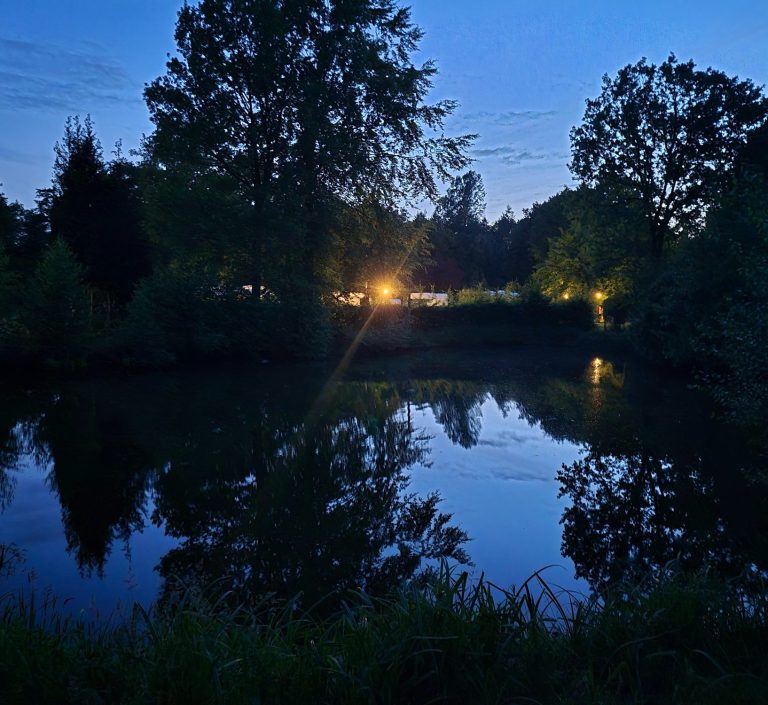 Dämmerung am Teich mit spiegelndem Wasser und sanftem Licht im Hintergrund.